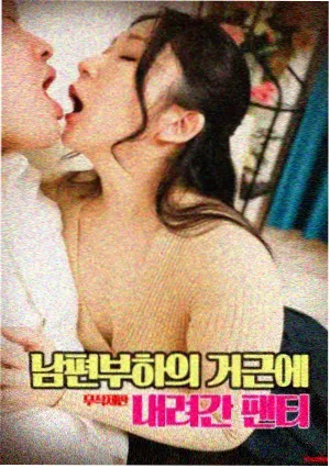 深夜剧场精选入口展示图